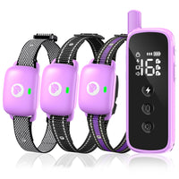 Heaflex dog training collar with remote outdoors for long-range training.