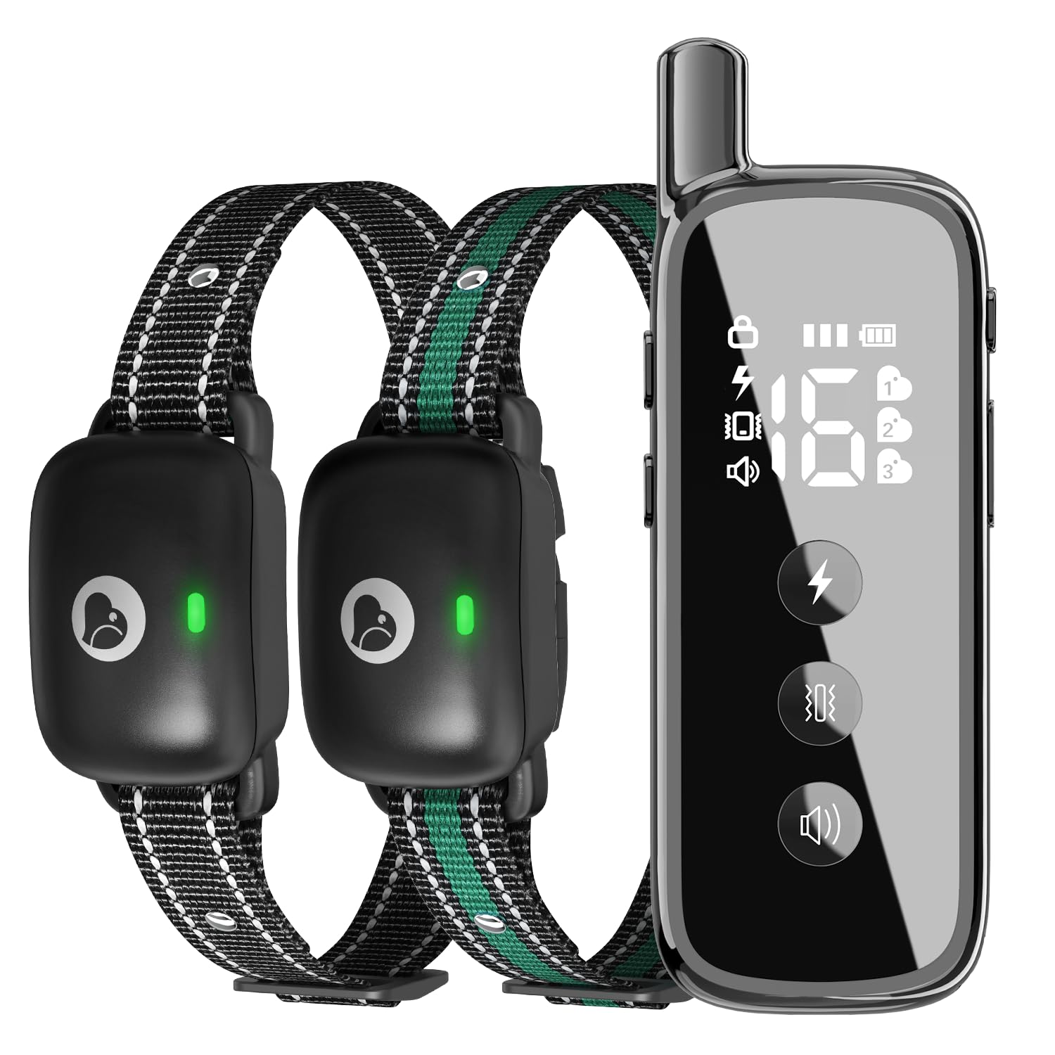 Heaflex dog training collar remote in hand, enabling simple, responsive training sessions outdoors.