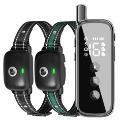 Heaflex dog training collar remote in hand, enabling simple, responsive training sessions outdoors.