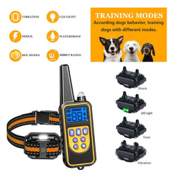 Heaflex waterproof IP67 collar ready for outdoor training sessions.