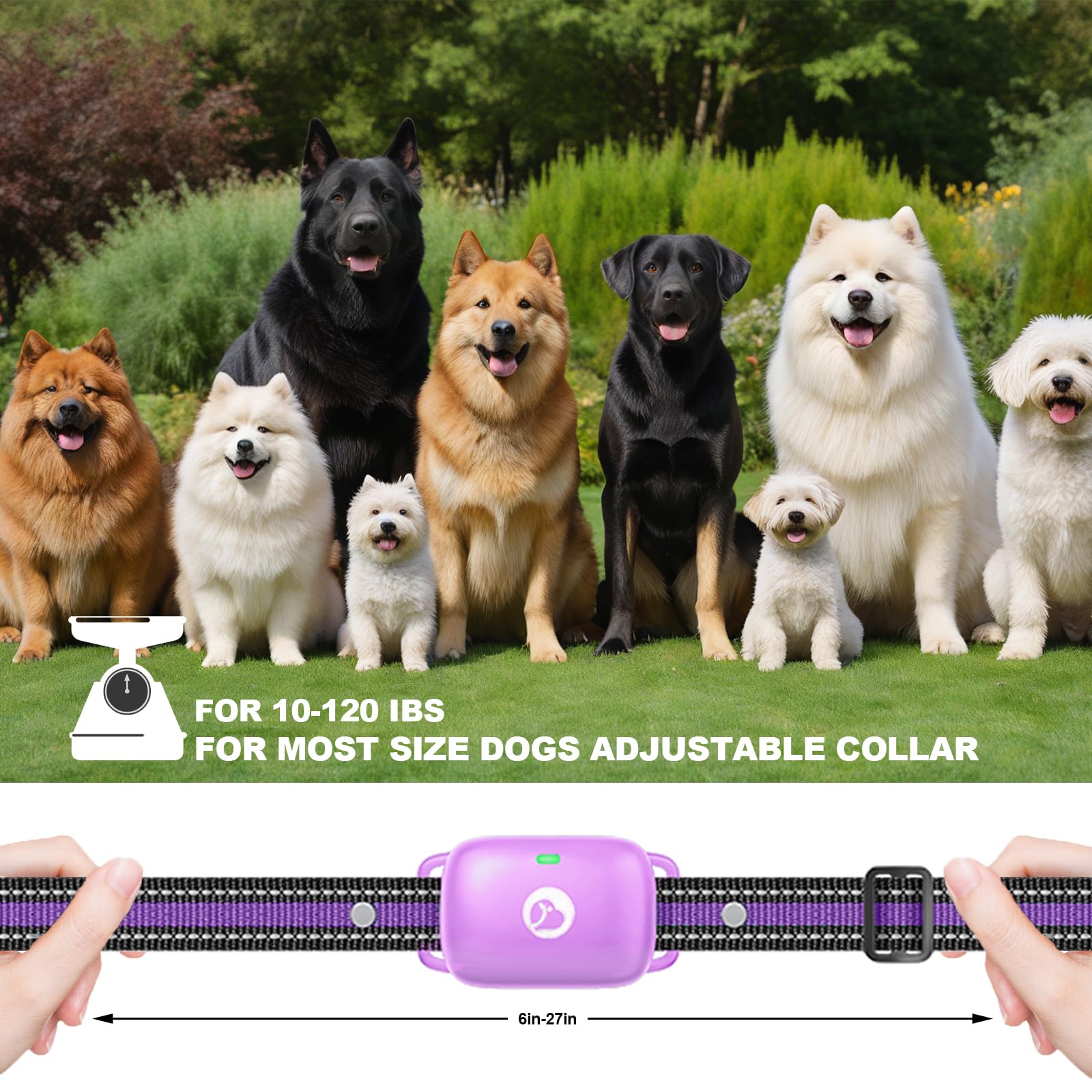 Heaflex training collar delivers long battery life and quick charging.