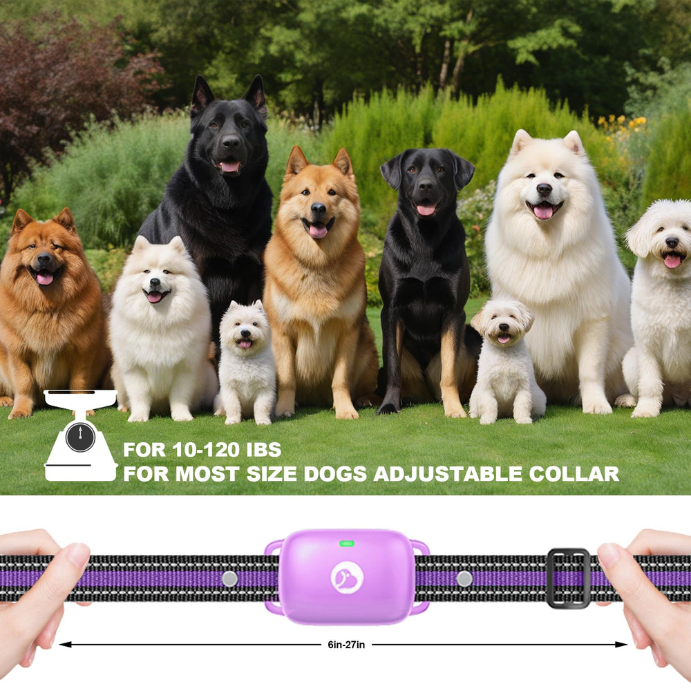 Heaflex training collar delivers long battery life and quick charging.