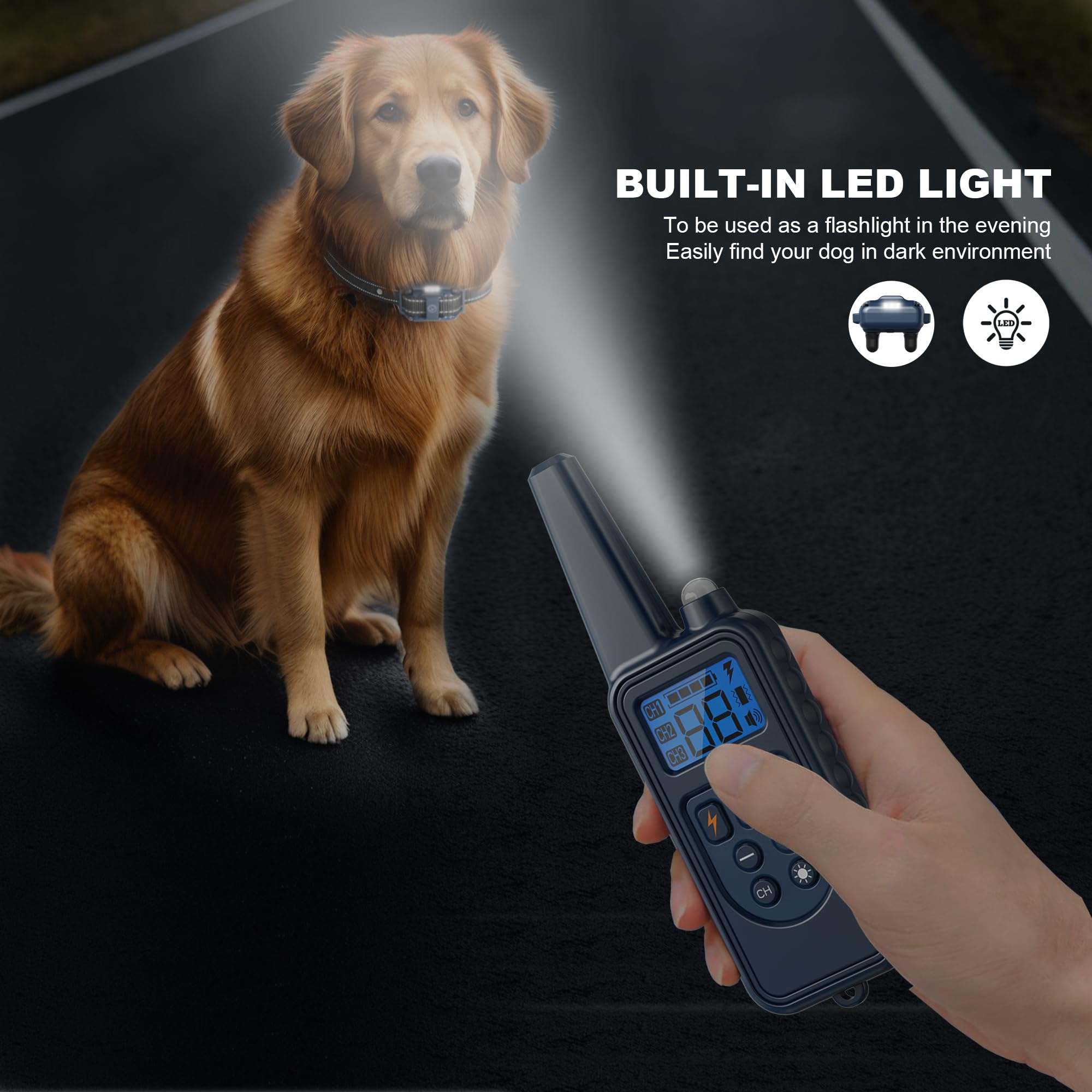 Heaflex travel kit includes collar and accessories for training on the go.