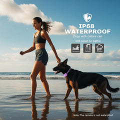 Heaflex soft nylon collar with silicone covers protects dogs during training.
