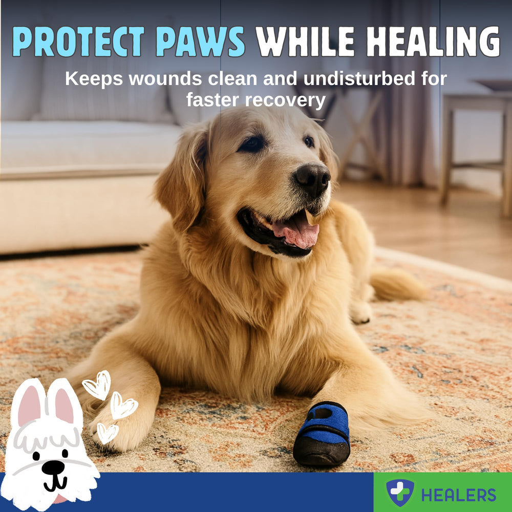 Healers PetCare adjustable strap dog bootie demonstrates secure fit for active pets.