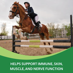 Health-E Vitamin E supplement for morning feed during training sessions.