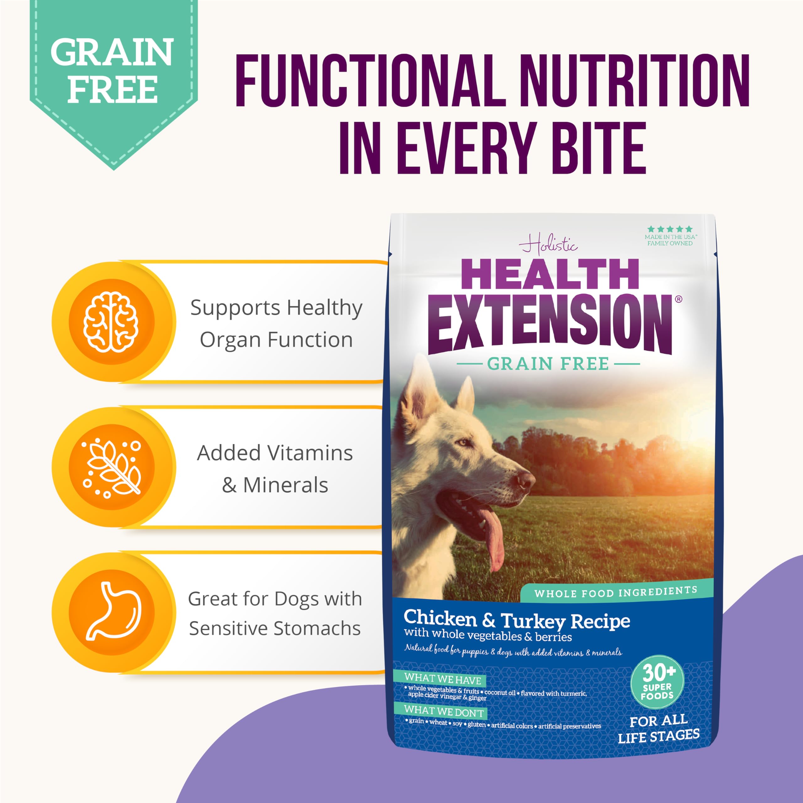 Health Extension 30-plus superfoods blend with turmeric and berries for natural wellness.