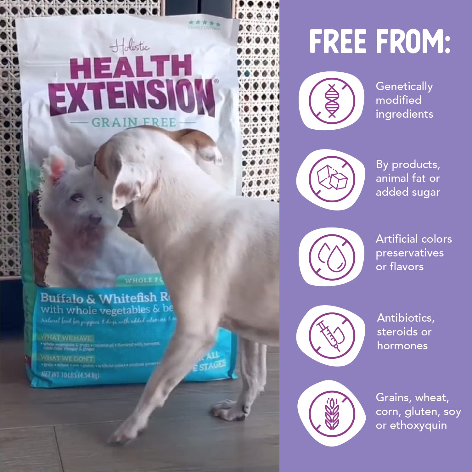 Health Extension 30+ superfoods blend with turmeric and berries boosts overall wellness.