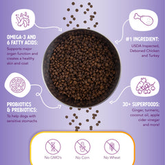 Health Extension 30+ superfoods with turmeric and berries for natural nutrition