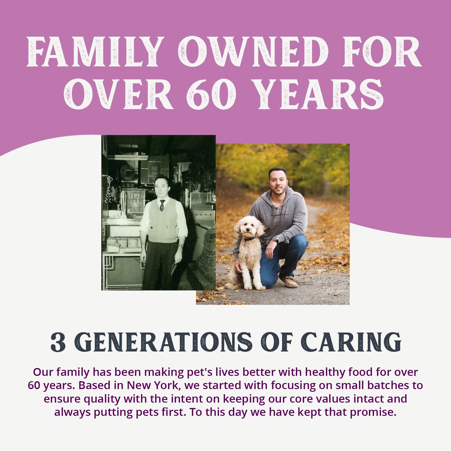 Health Extension 95% Chicken wet dog food enjoyed by a dog during mealtime