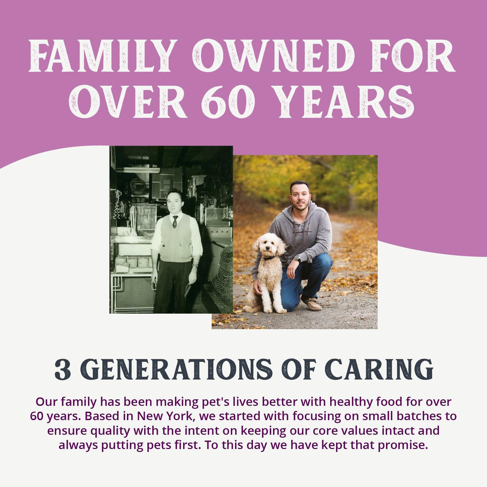 Health Extension 95% Chicken wet dog food enjoyed by a dog during mealtime