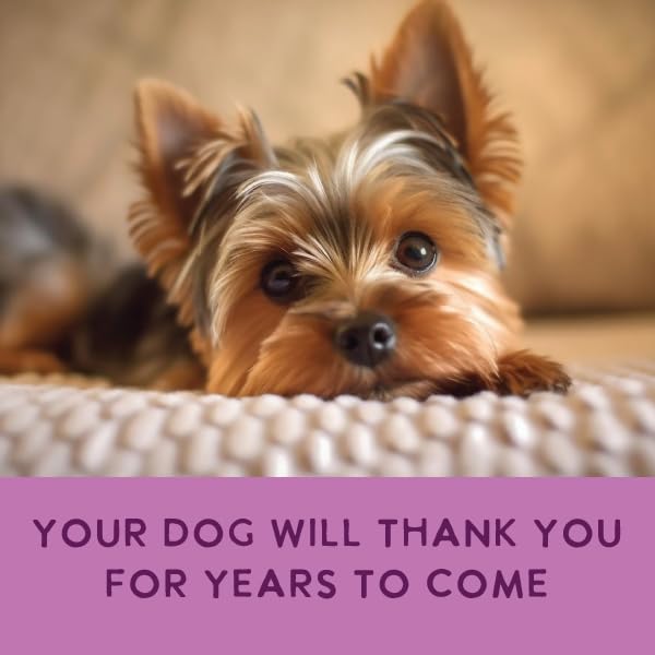 Health Extension provides complete nutrition for dogs of all life stages.