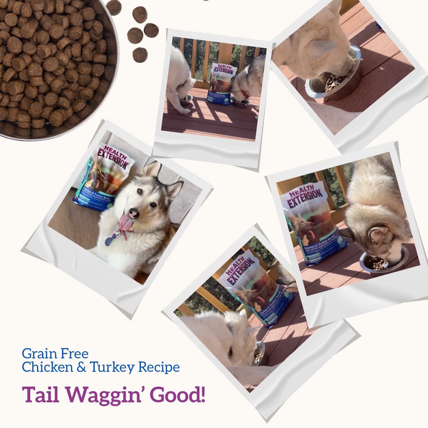 Health Extension all-life-stages formula suitable for puppies through seniors.