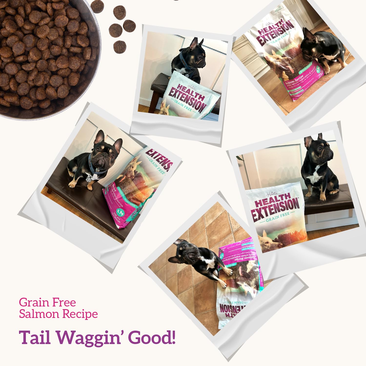 Health Extension all-life-stages dog food served in a bowl.