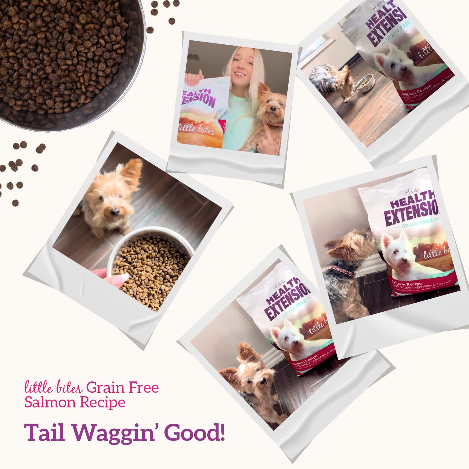 Health Extension bag and serving; convenient setup for small dogs.