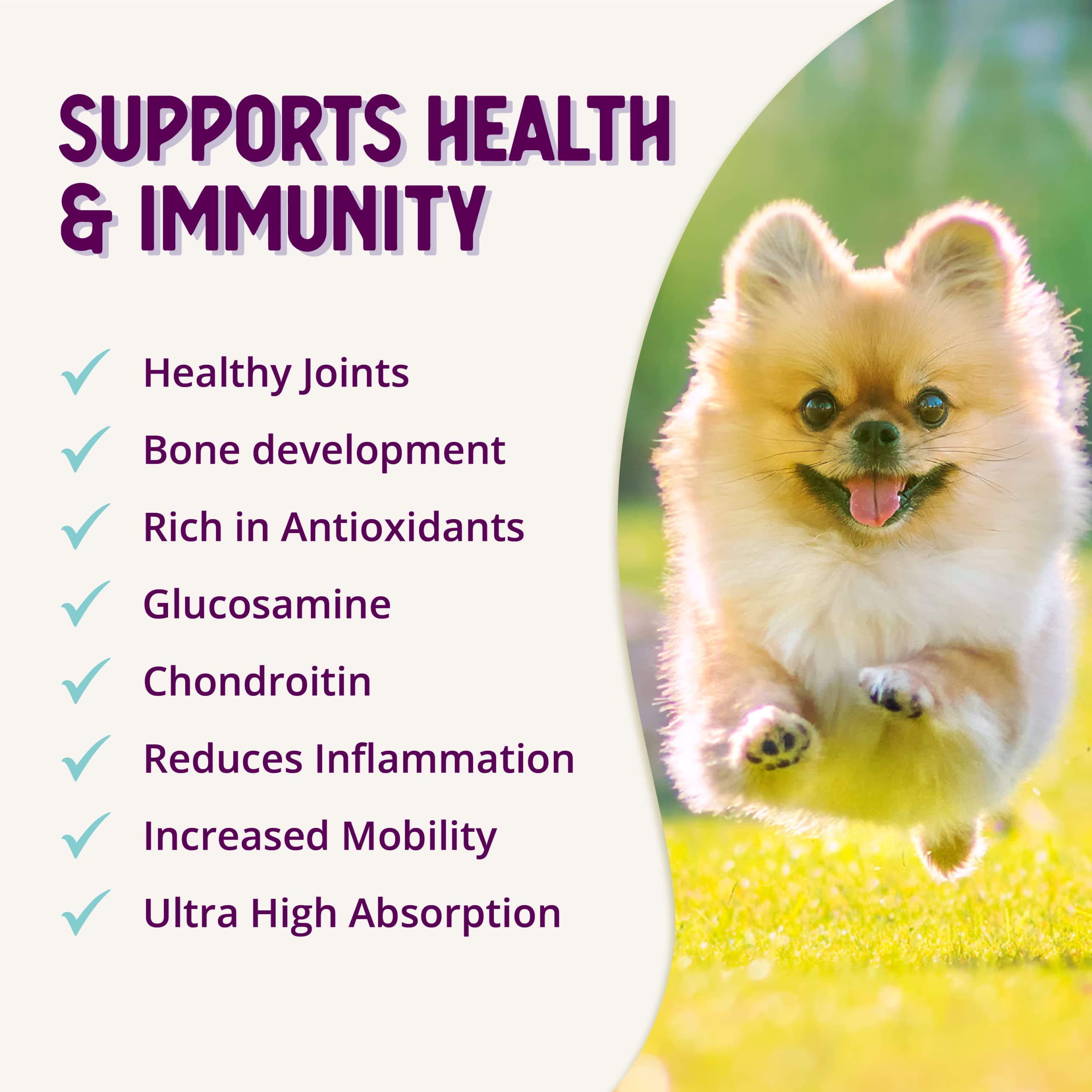 Puppy and senior dogs alike can benefit from daily supplement routine