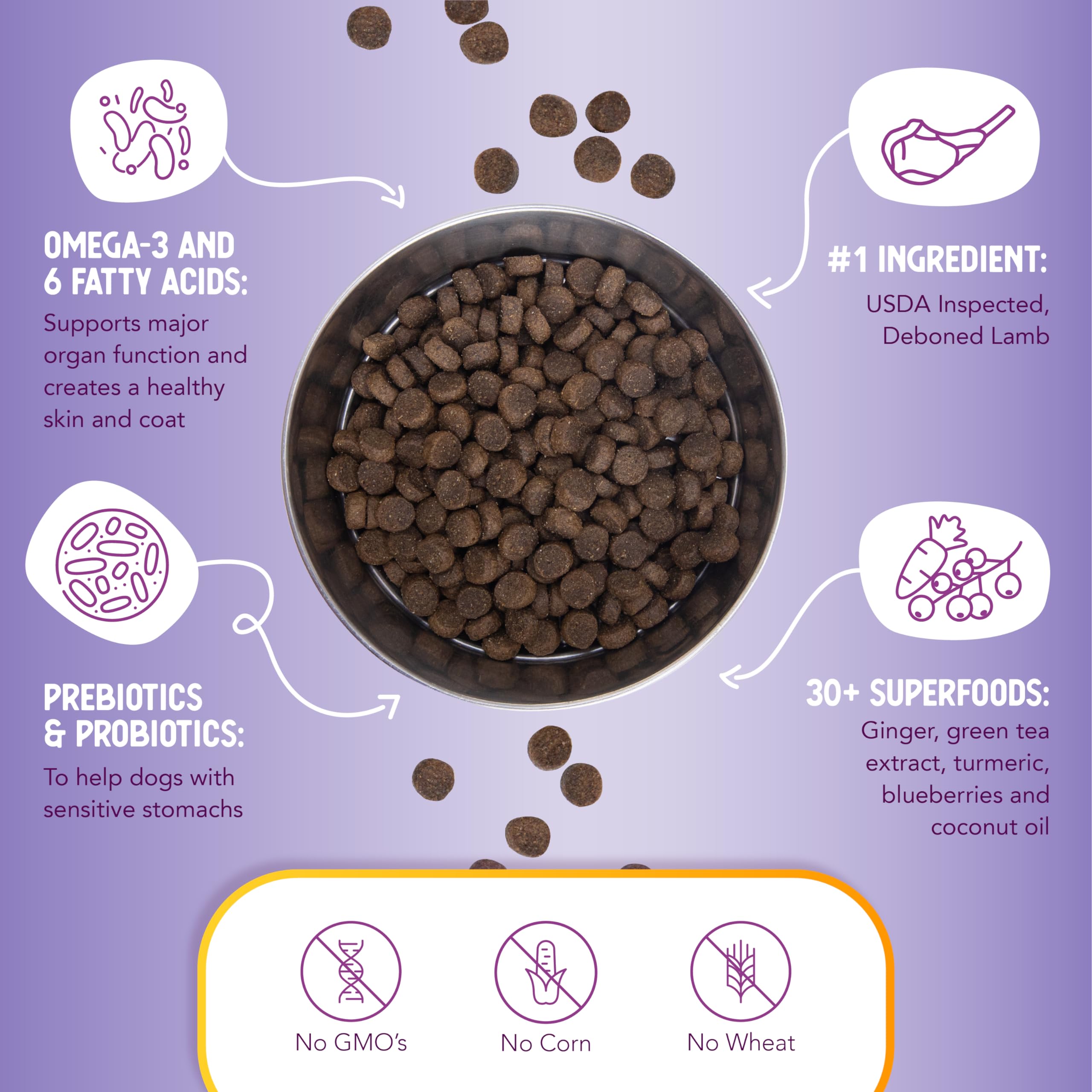Health Extension dog bowl with kibble showing serving size and texture.