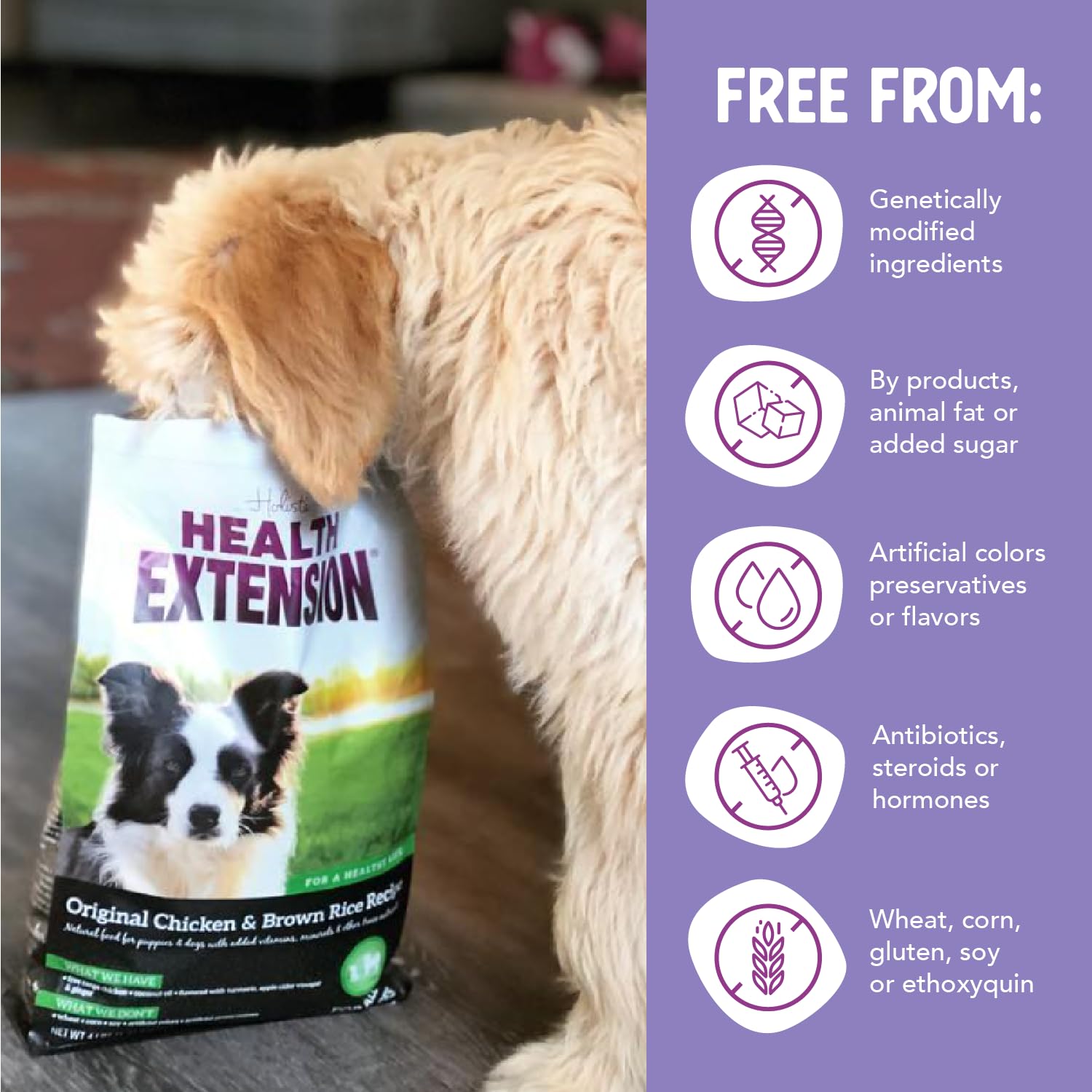 Health Extension flaxseed and coconut oil boost coat shine and skin health.