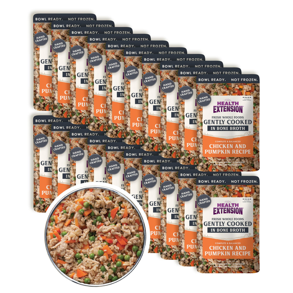 Health Extension Gently Cooked pouch ready to serve with real chicken and pumpkin