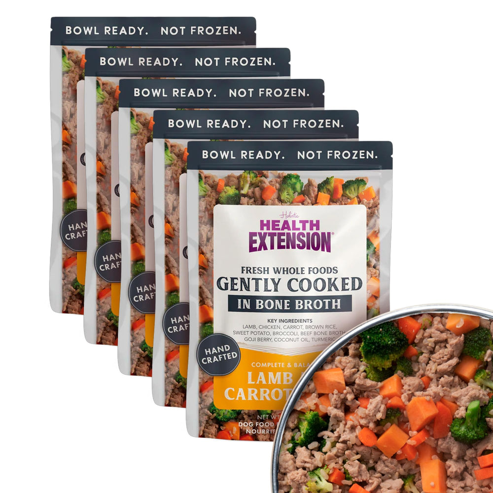 Health Extension Gently Cooked Lamb bowl showing ready-to-serve meal for dogs