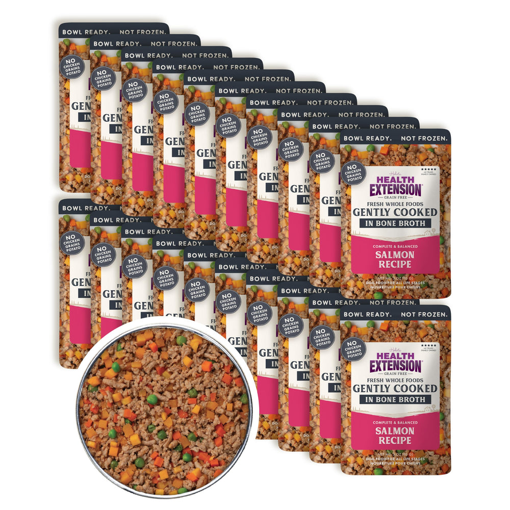 Health Extension gently cooked salmon dog food bowl shows fresh flavors for picky eaters.