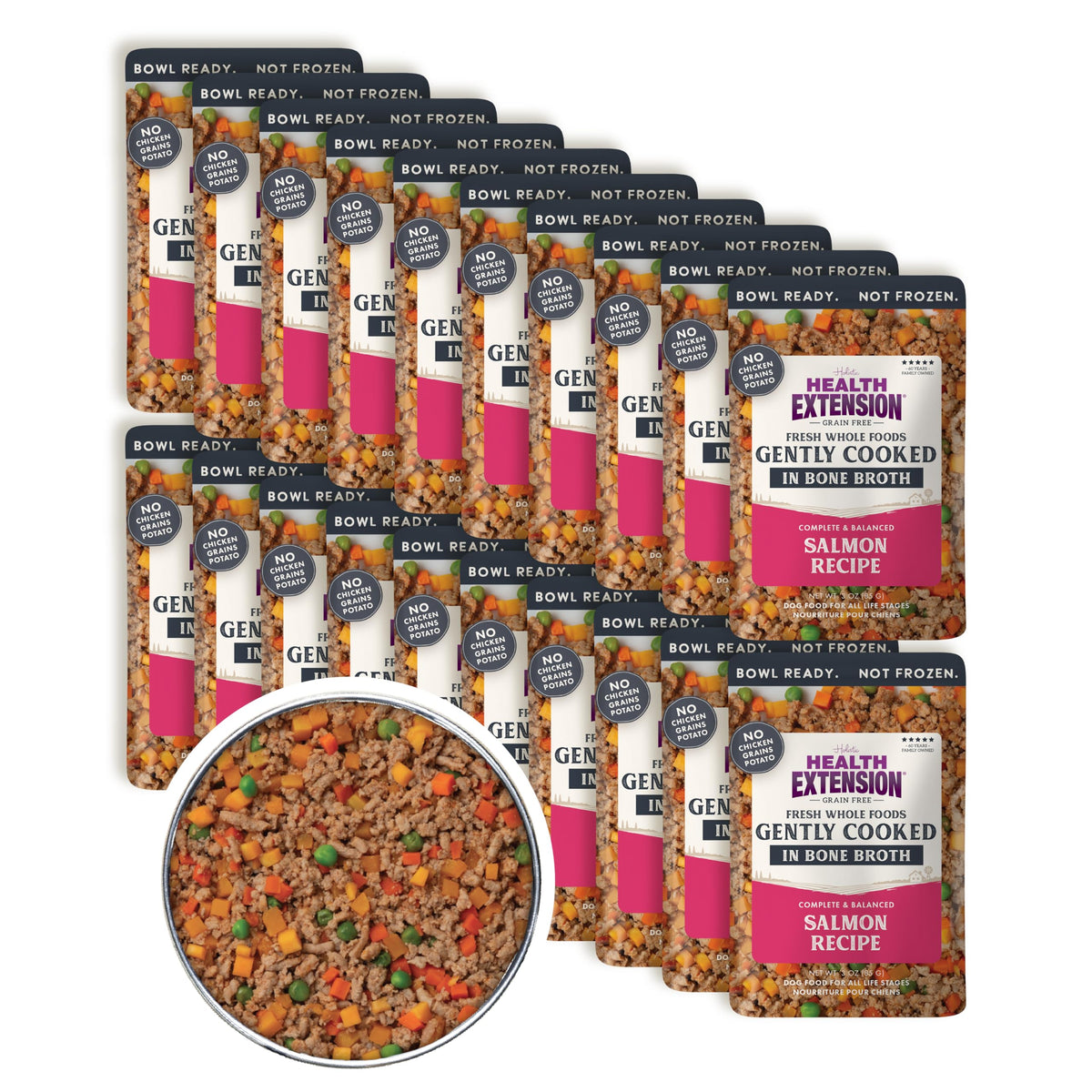Health Extension gently cooked salmon dog food bowl shows fresh flavors for picky eaters.
