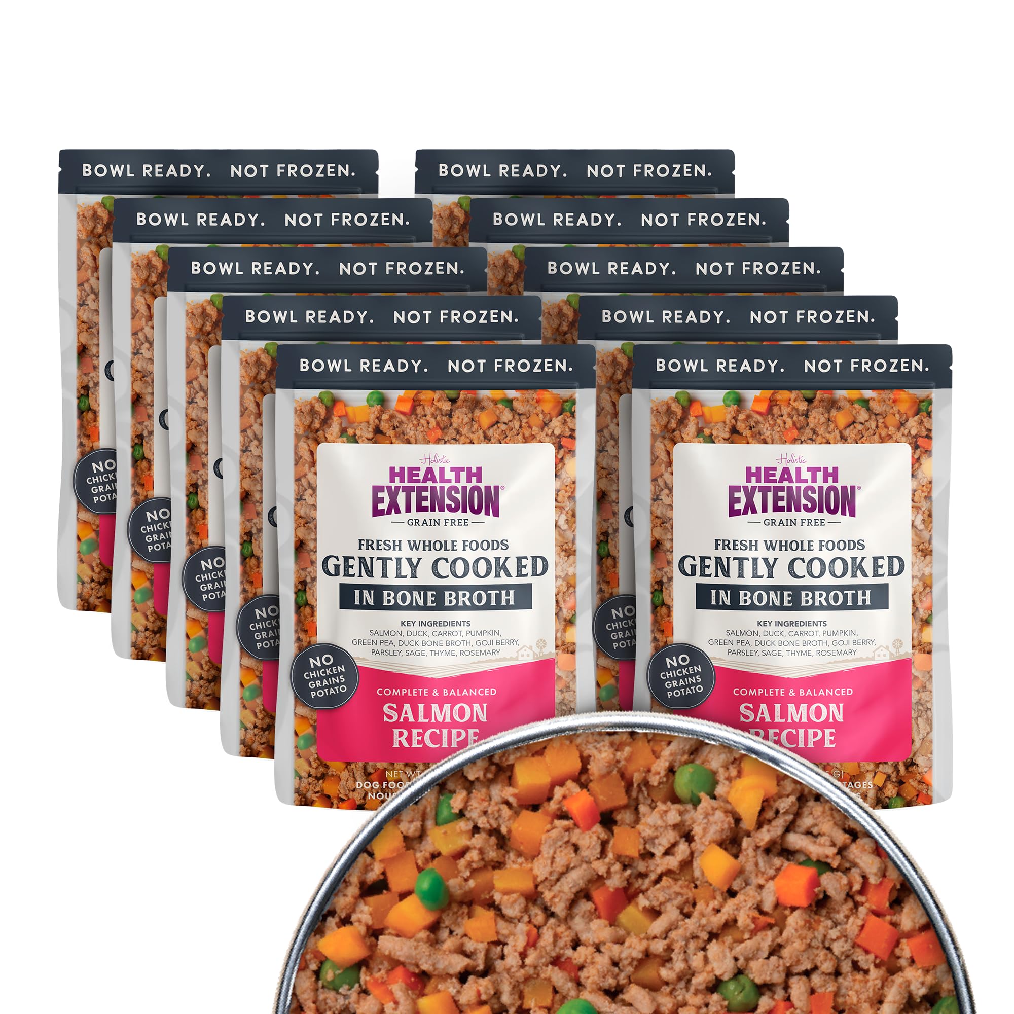 Health Extension gently cooked salmon dog food pouch ready for convenient meals