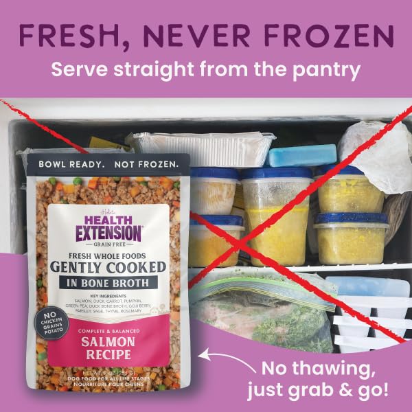 3 oz pouch from Health Extension Gently Cooked Salmon for travel meals