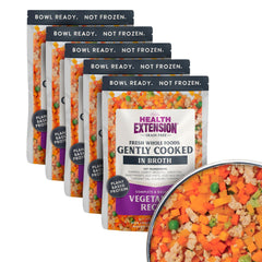 Health Extension bowl of gently cooked vegetarian dog food with fresh ingredients for palatability