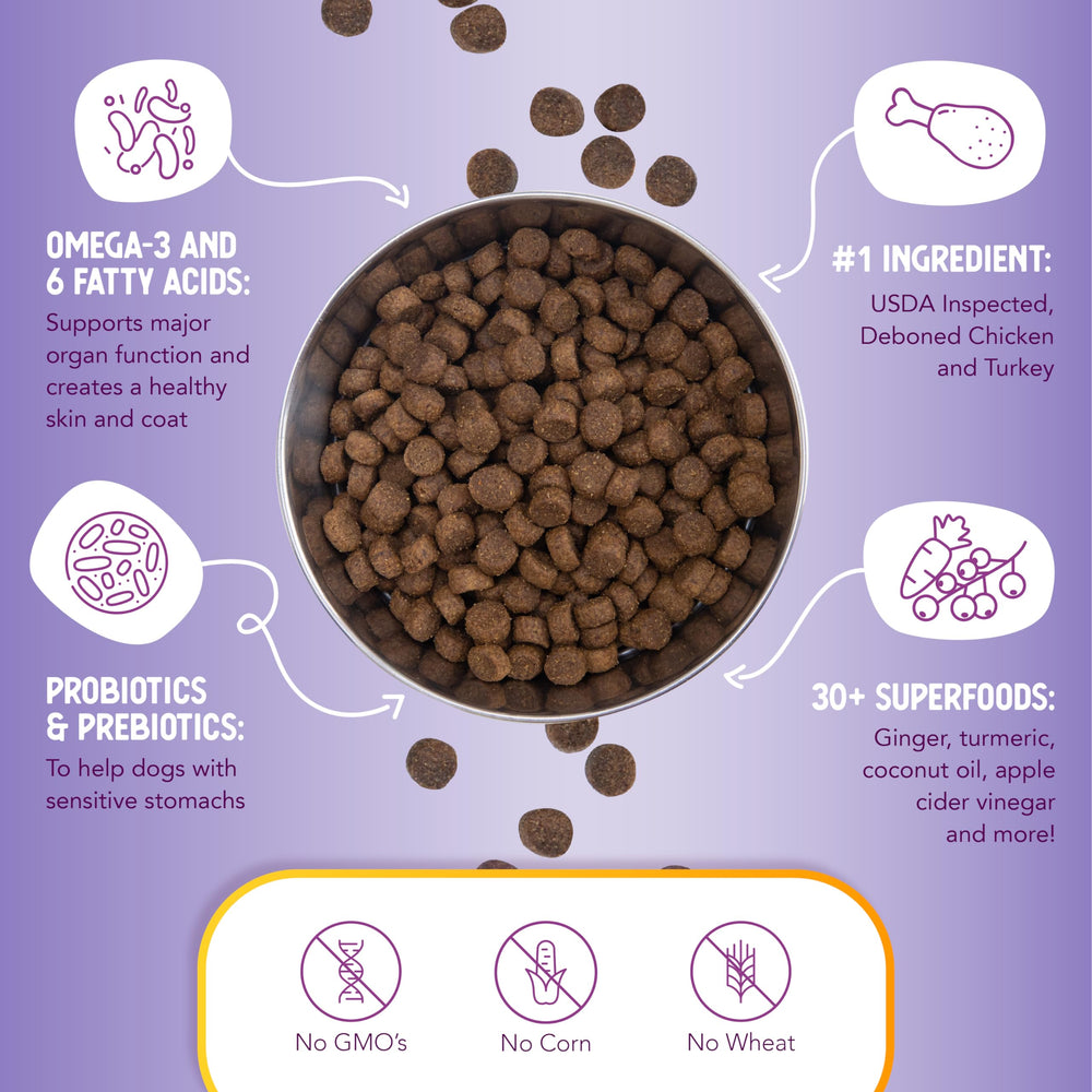 Health Extension kibble close-up reveals grain-free texture and quality ingredients.