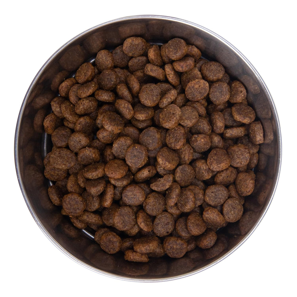 Health Extension grain-free kibble close-up showing texture and quality.