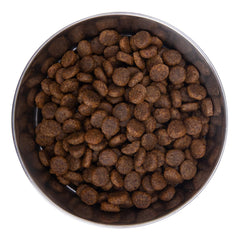 Health Extension grain-free kibble close-up showing texture and quality.