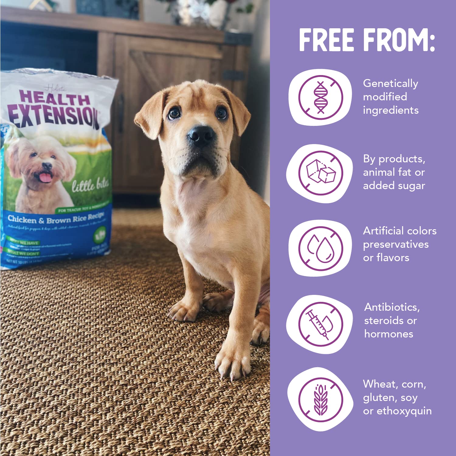 Health Extension Little Bites with probiotics supports gut balance and digestive comfort