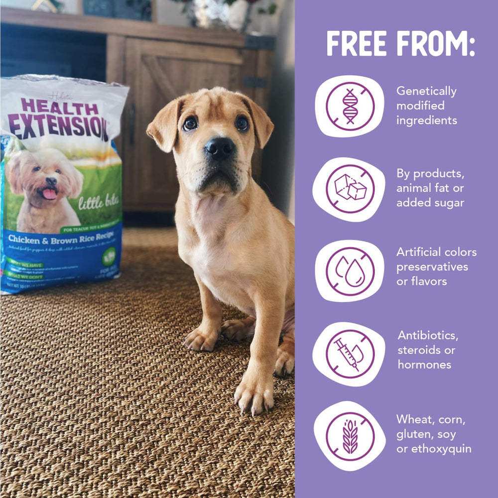 Health Extension Little Bites probiotics; digestive balance support for small dogs.