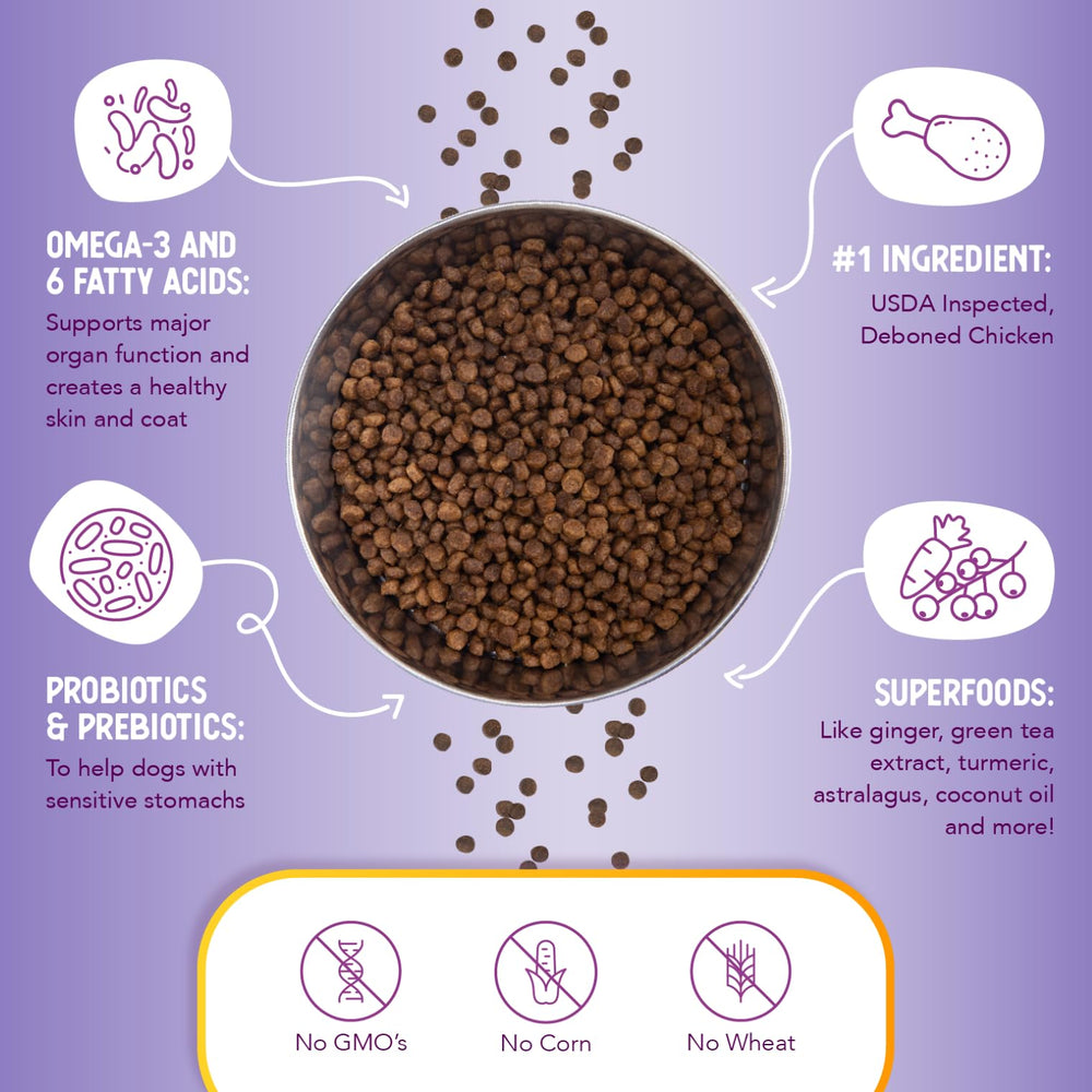 Health Extension Little Bites turmeric and superfoods; natural ingredients for overall vitality.