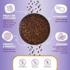 Health Extension Little Bites turmeric and superfoods; natural ingredients for overall vitality.