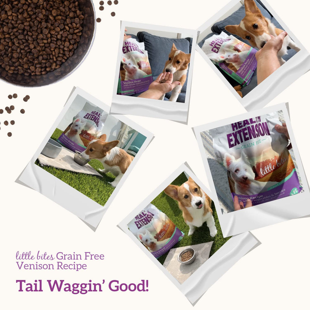 Health Extension no-fillers and no artificial colors signal clean ingredients.