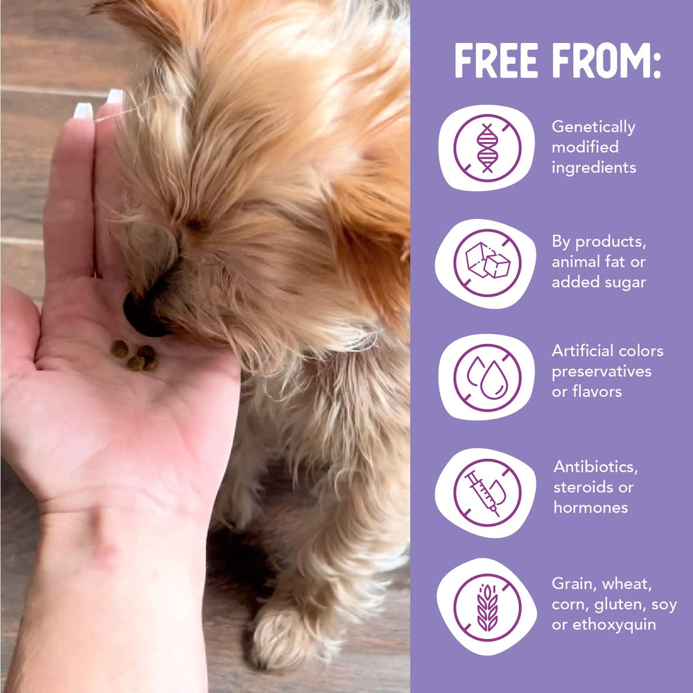 Health Extension omega-3 for skin and coat; visible shine.