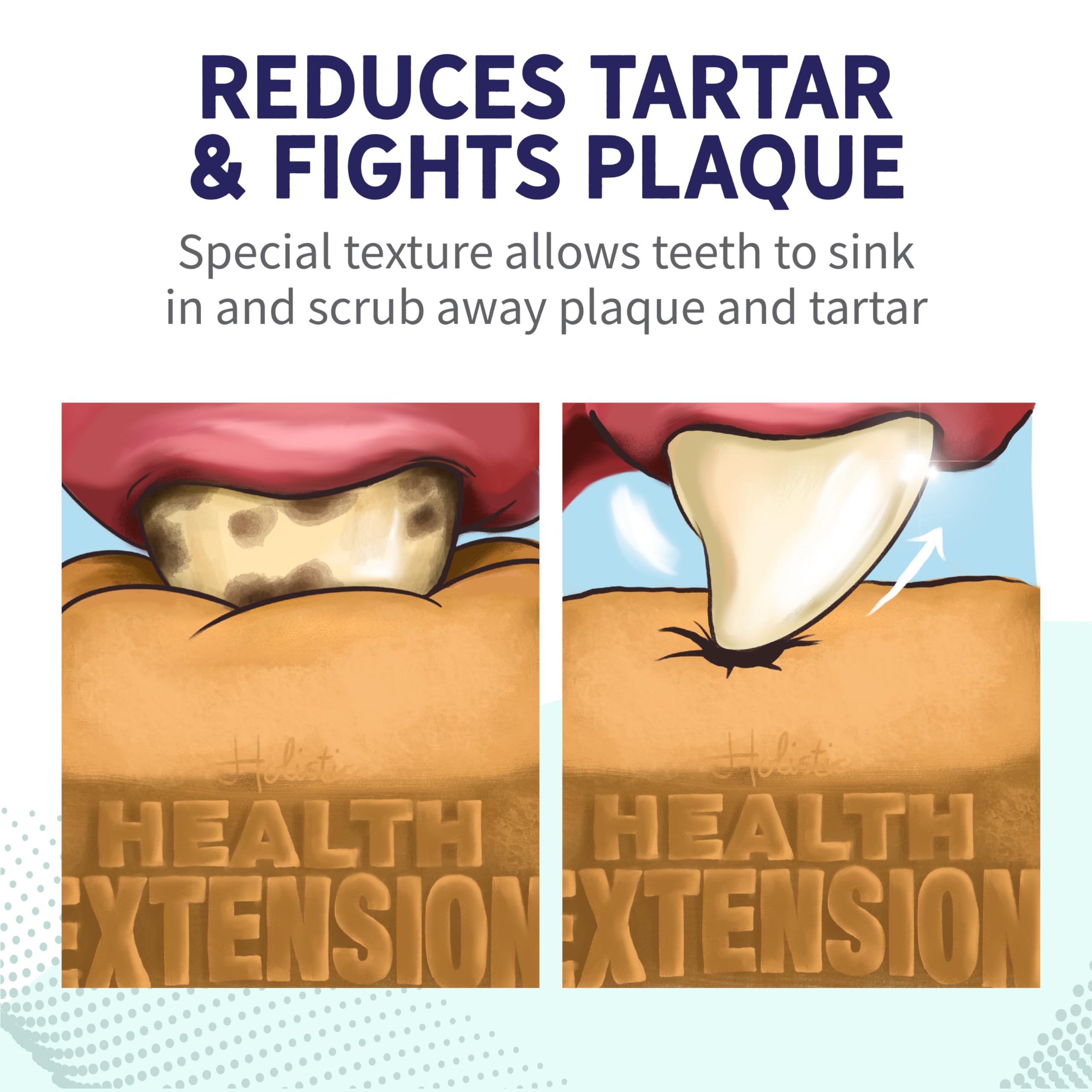 Health Extension Probiotic Dental Bones support digestive health when used as a treat.