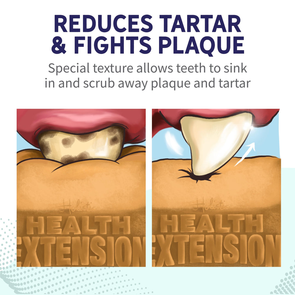 Health Extension Probiotic Dental Bones support digestive health when used as a treat.