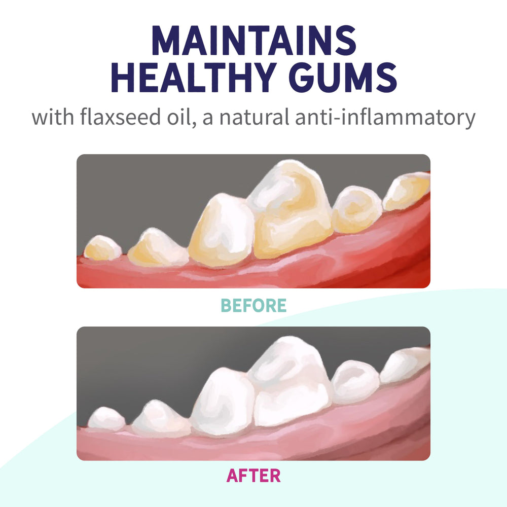 Health Extension Probiotic Dental Bones made in USA with high-quality ingredients.