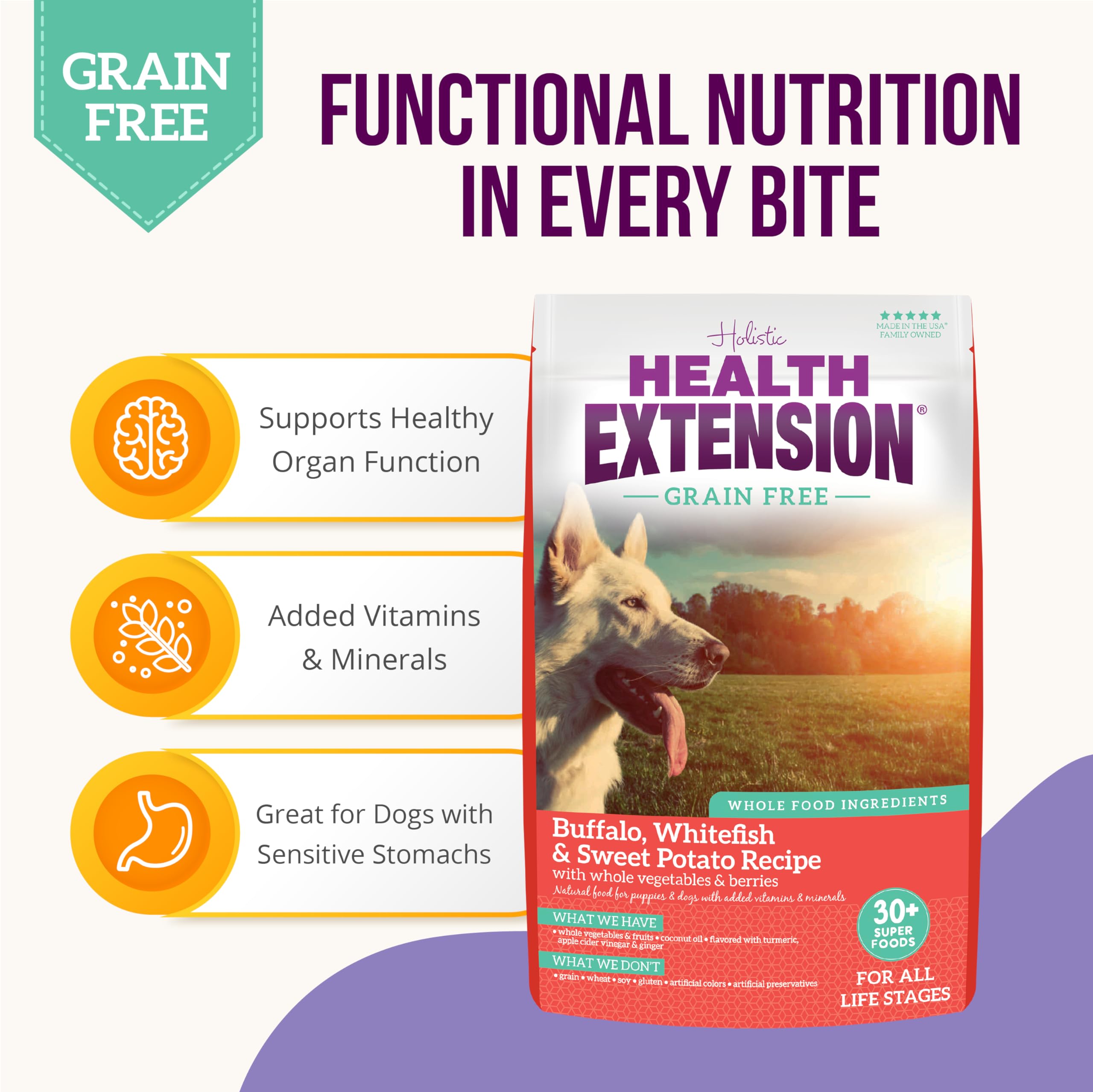Health Extension probiotics-prebiotics-antioxidants image suggesting gut balance