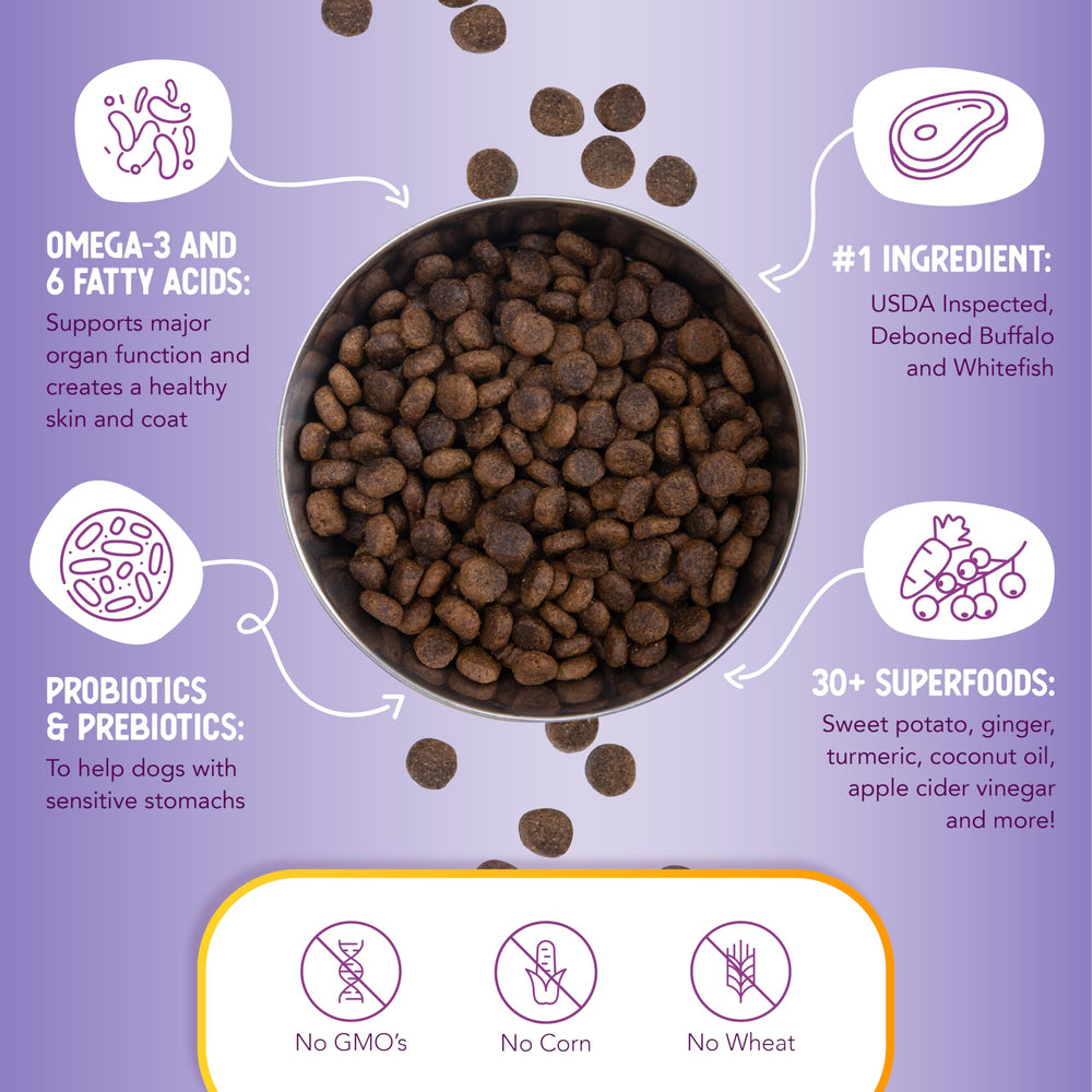 Health Extension probiotics and prebiotics closeup supporting digestive balance in dogs.