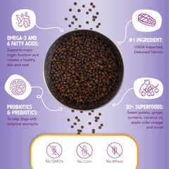 Health Extension salmon-first ingredient label close-up, high-quality protein foundation.