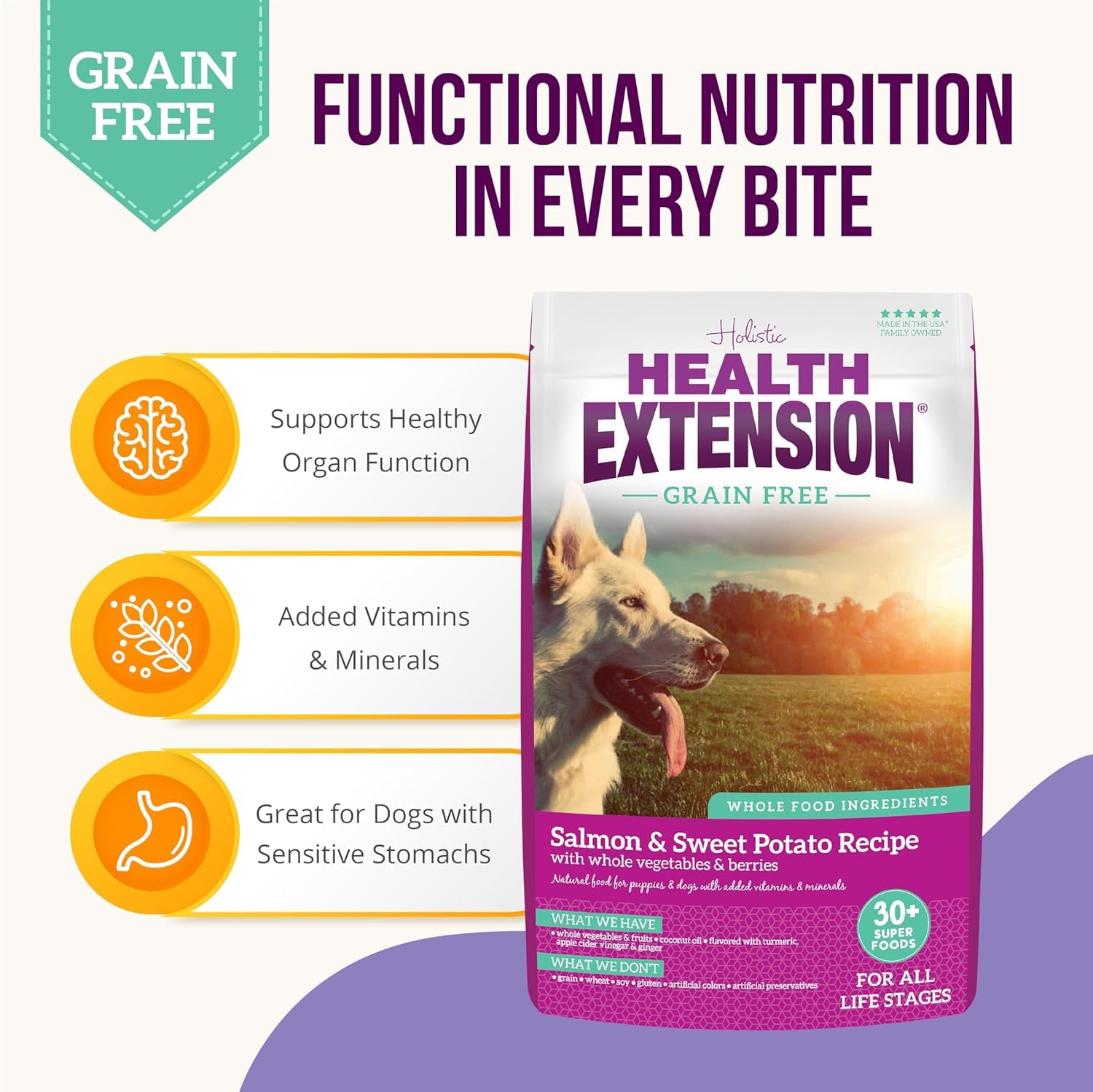 Health Extension grain-free salmon kibble in bowl, easy on digestion.