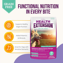 Health Extension grain-free salmon kibble in bowl, easy on digestion.