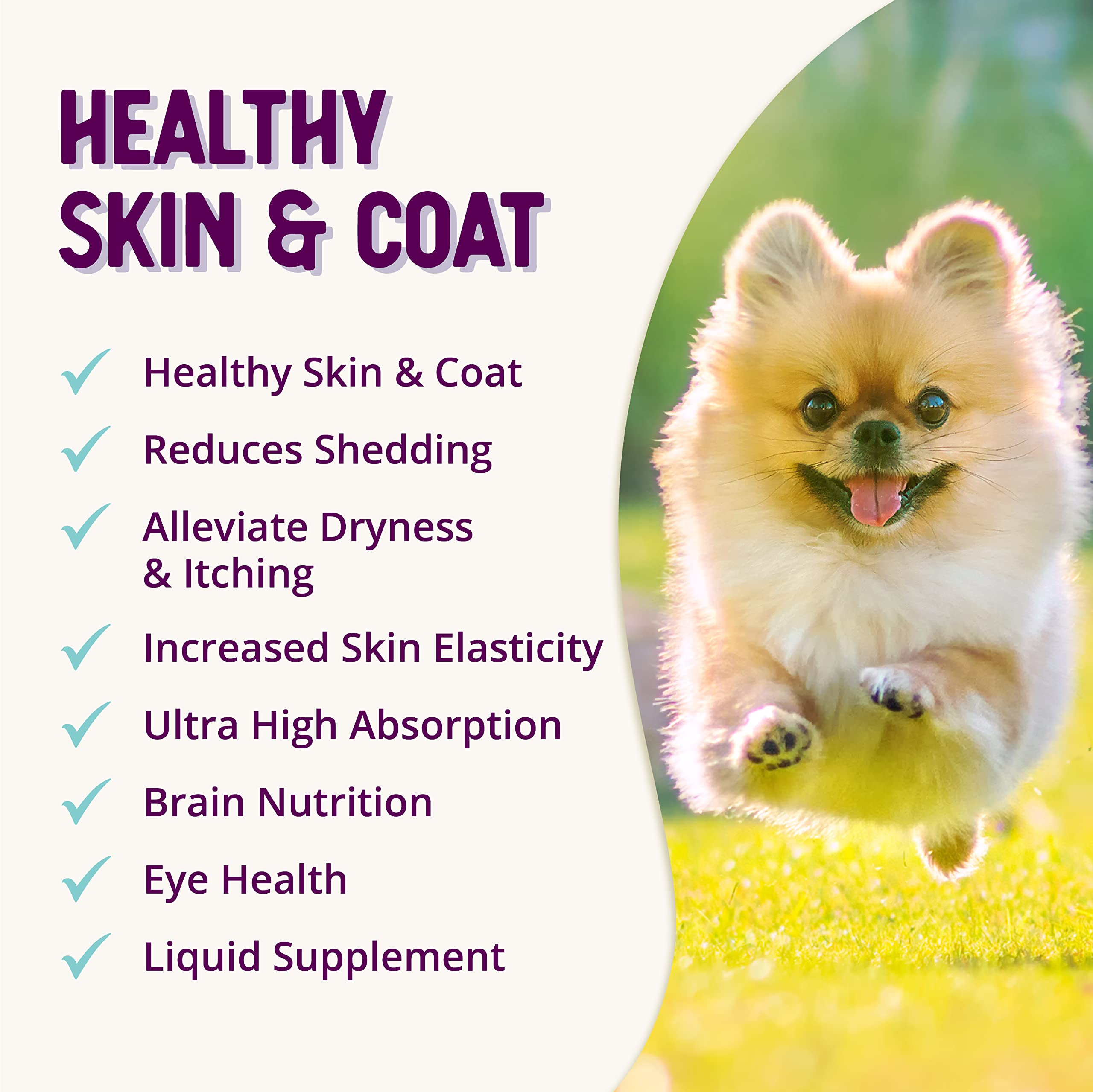 Happy dog enjoying daily Health Extension Skin & Coat routine.