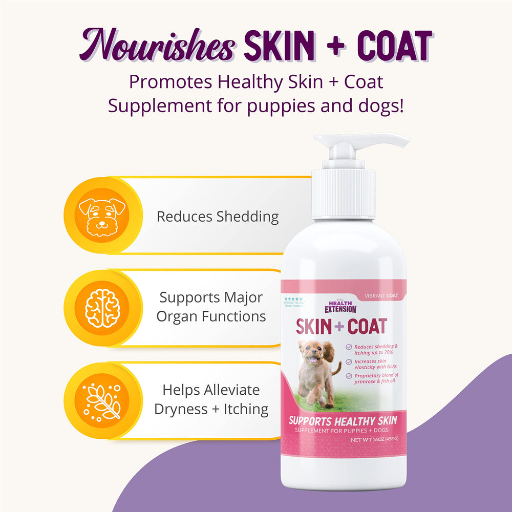 Dog being served Health Extension Skin & Coat mixed into meals.