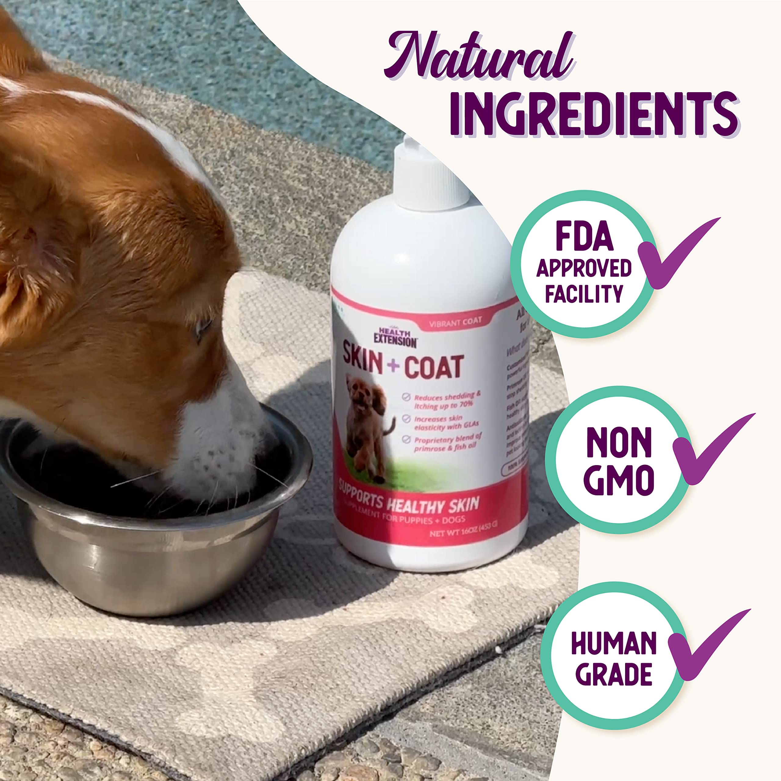 Shiny healthy coat on dog after Health Extension Skin & Coat supplement.