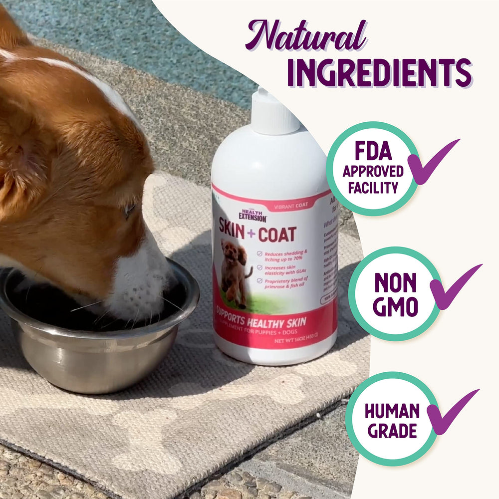 Shiny healthy coat on dog after Health Extension Skin & Coat supplement.